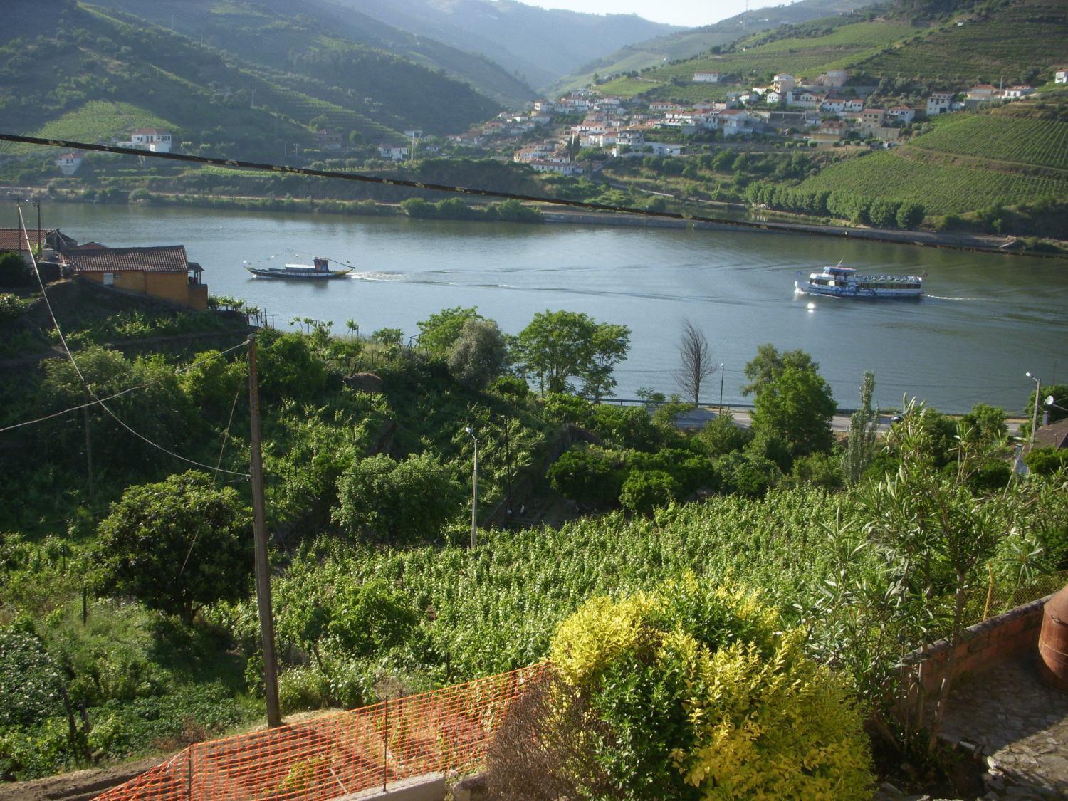 Gasthuis Quinta Da Azenha